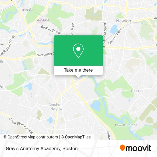 Gray's Anatomy Academy map