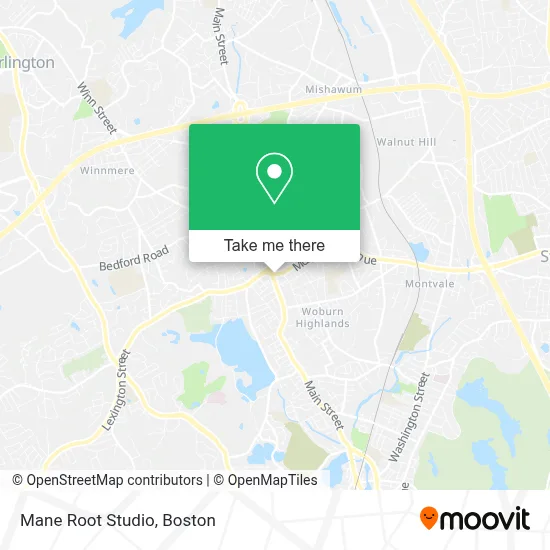 Mane Root Studio map