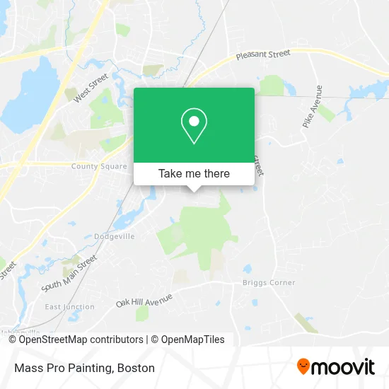 Mass Pro Painting map