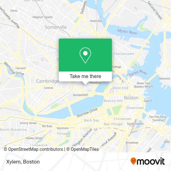 Xylem map