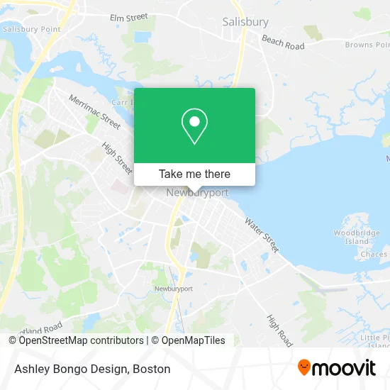 Ashley Bongo Design map