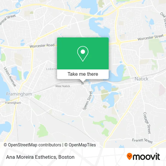 Ana Moreira Esthetics map