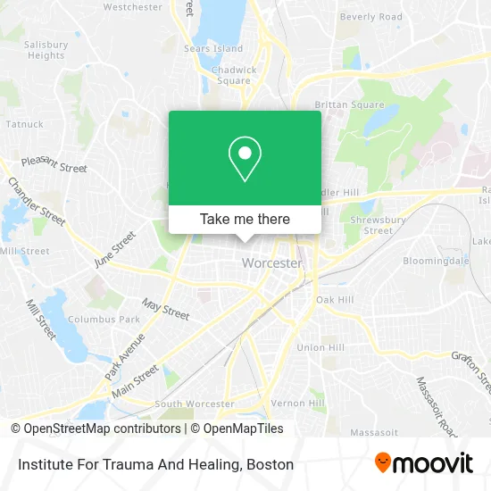Institute For Trauma And Healing map