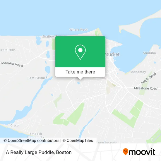 A Really Large Puddle map
