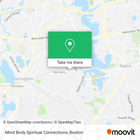 Mind Body Spiritual Connections map
