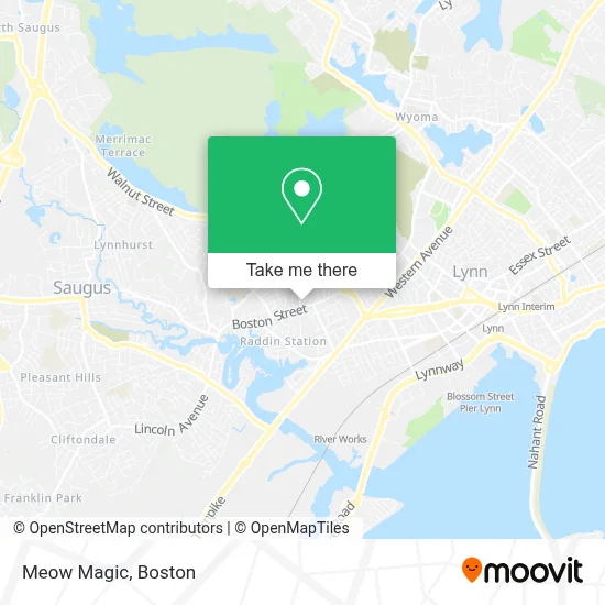 Meow Magic map