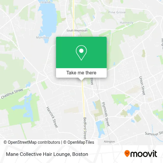 Mane Collective Hair Lounge map