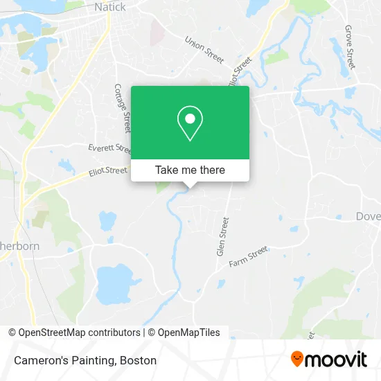 Cameron's Painting map