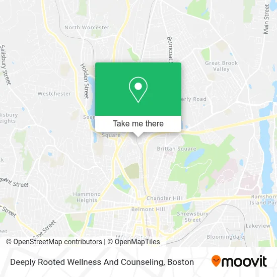 Deeply Rooted Wellness And Counseling map