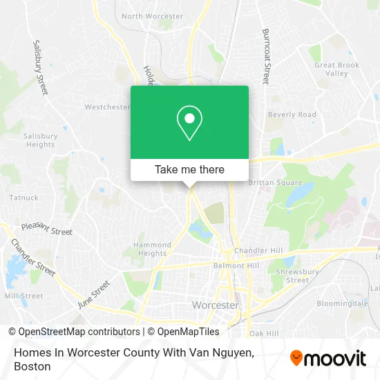 Homes In Worcester County With Van Nguyen map