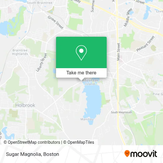 Sugar Magnolia map