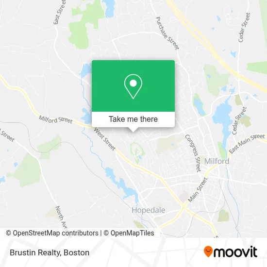 Brustin Realty map