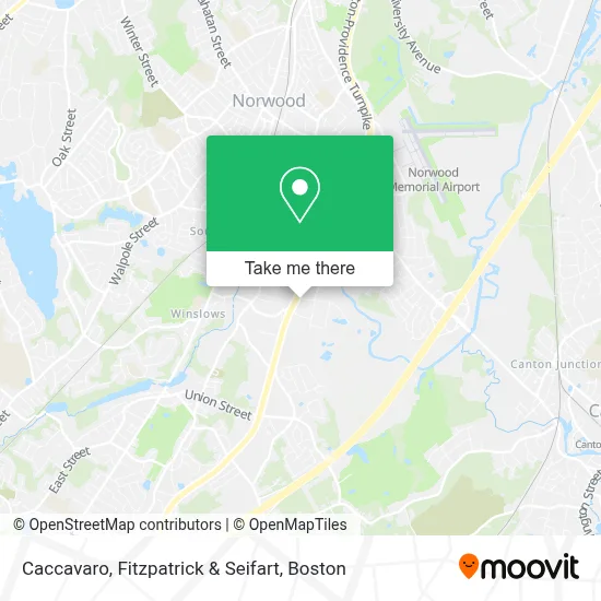 Caccavaro, Fitzpatrick & Seifart map
