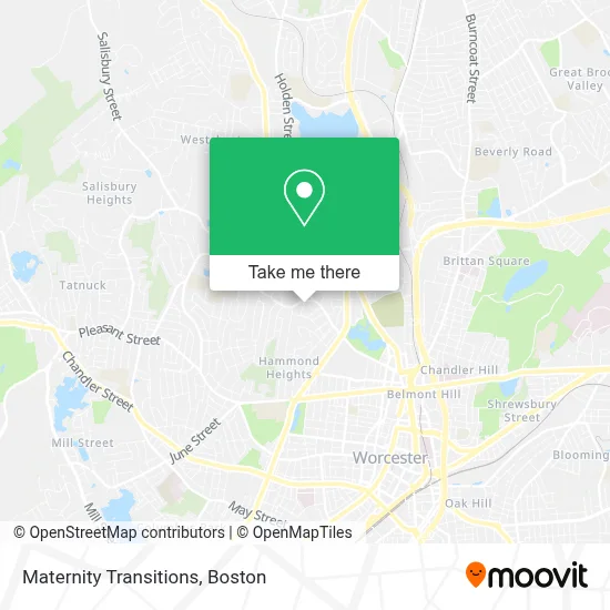 Maternity Transitions map