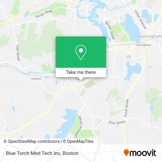 Blue Torch Med Tech Inc map