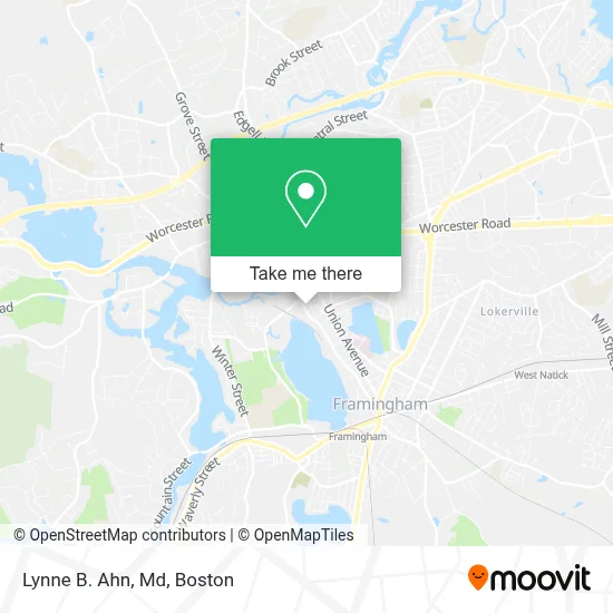 Lynne B. Ahn, Md map