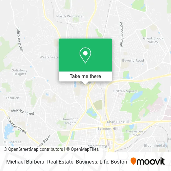 Michael Barbera- Real Estate, Business, Life map