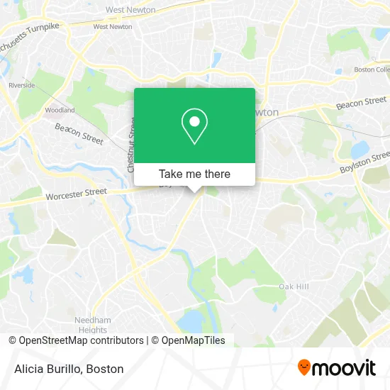 Alicia Burillo map