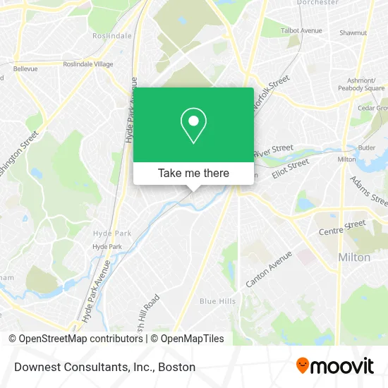Downest Consultants, Inc. map