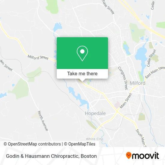 Godin & Hausmann Chiropractic map