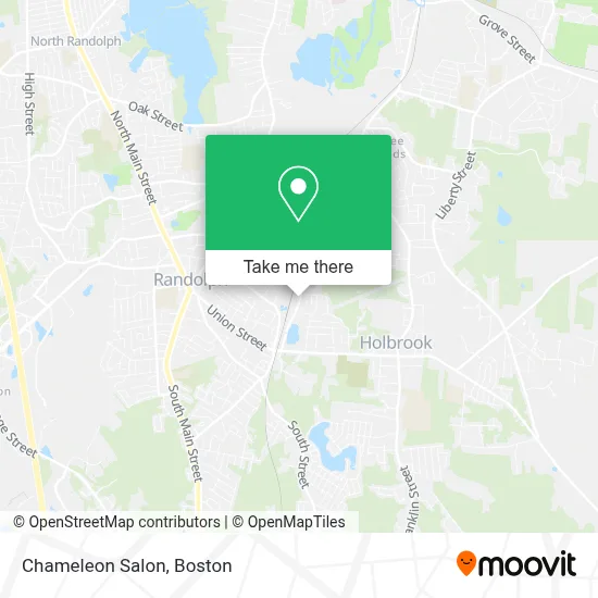Chameleon Salon map