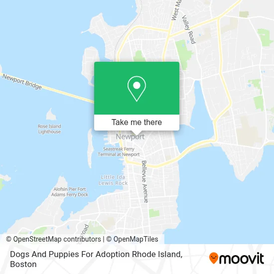 Dogs And Puppies For Adoption Rhode Island map