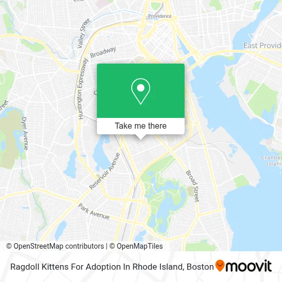 Ragdoll Kittens For Adoption In Rhode Island map