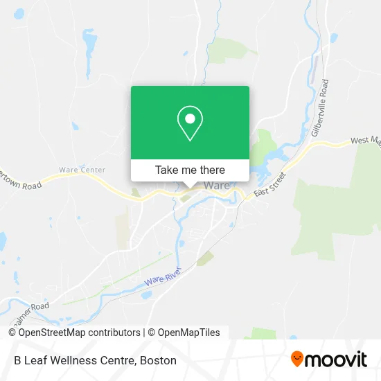 B Leaf Wellness Centre map