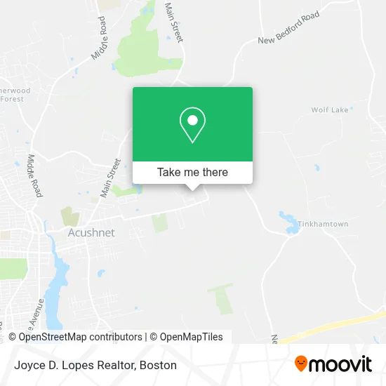 Joyce D. Lopes Realtor map