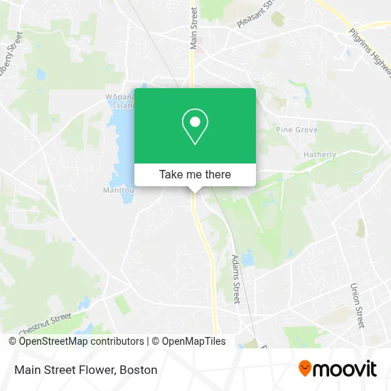 Main Street Flower map