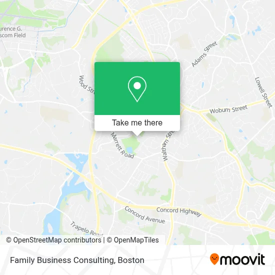 Family Business Consulting map