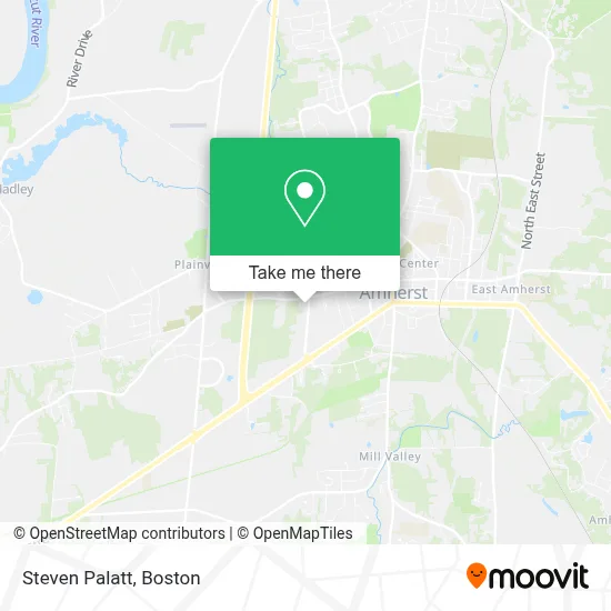 Steven Palatt map