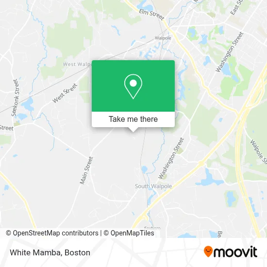 White Mamba map