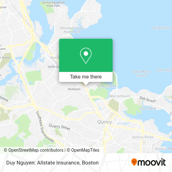 Duy Nguyen: Allstate Insurance map