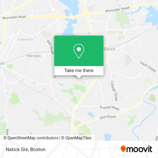 Natick Gis map