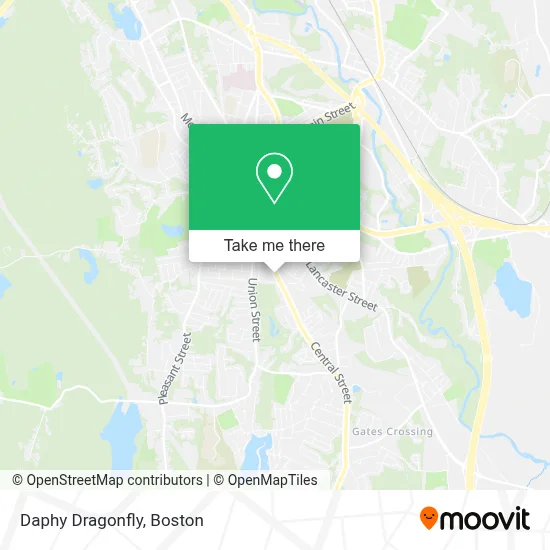 Daphy Dragonfly map