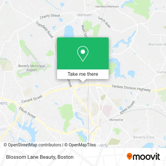 Blossom Lane Beauty map