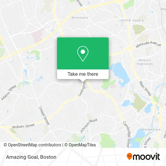 Amazing Goal map