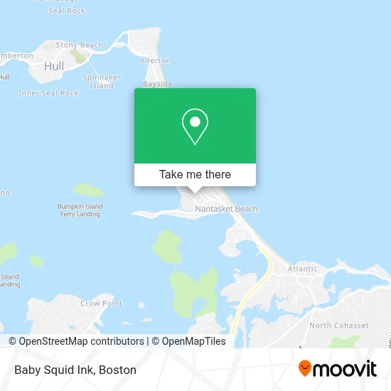 Baby Squid Ink map