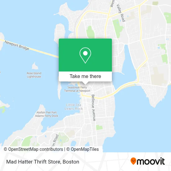 Mad Hatter Thrift Store map