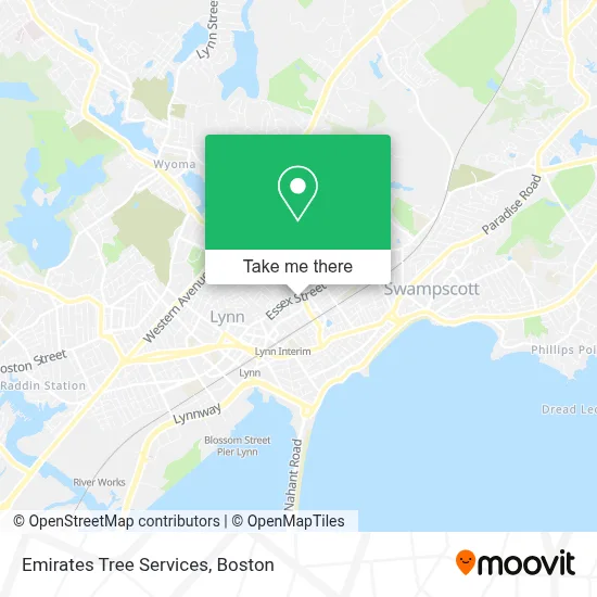 Emirates Tree Services map