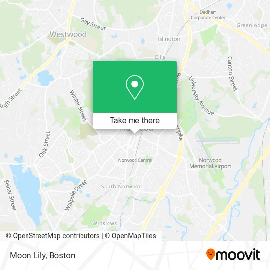 Moon Lily map