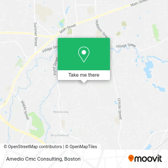 Amedio Cmc Consulting map