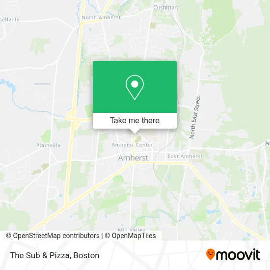 The Sub & Pizza map