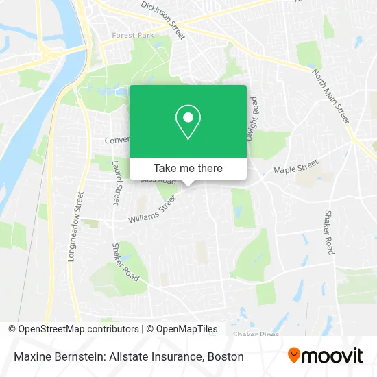 Maxine Bernstein: Allstate Insurance map