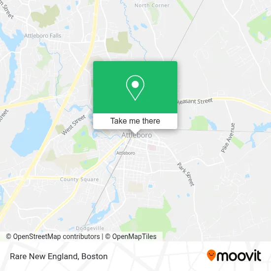 Rare New England map