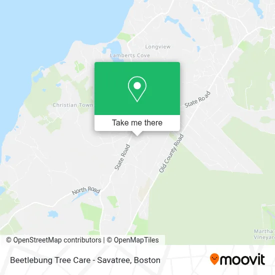 Beetlebung Tree Care - Savatree map