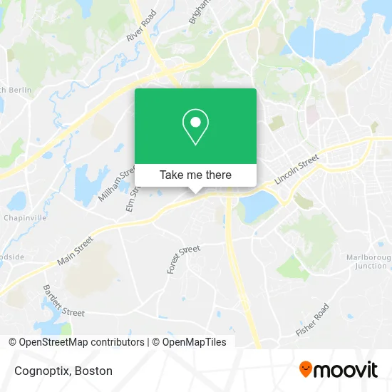 Cognoptix map