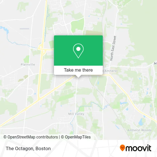 The Octagon map