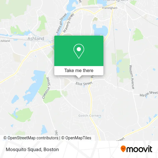 Mosquito Squad map